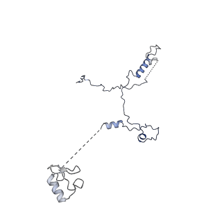 4255_6ff4_t_v1-0
human Bact spliceosome core structure