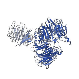 4255_6ff4_v_v1-0
human Bact spliceosome core structure