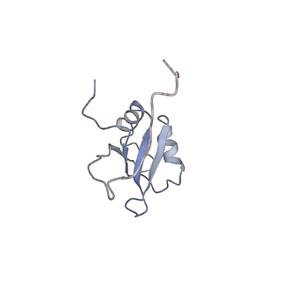 4255_6ff4_z_v1-0
human Bact spliceosome core structure
