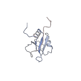 4255_6ff4_z_v2-4
human Bact spliceosome core structure