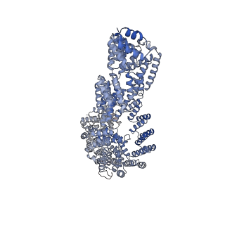 29073_8fgw_D_v1-1
Human IFT-A complex structures provide molecular insights into ciliary transport