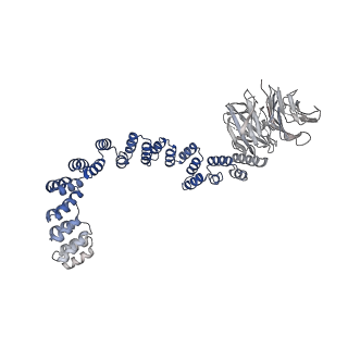 29073_8fgw_E_v1-1
Human IFT-A complex structures provide molecular insights into ciliary transport