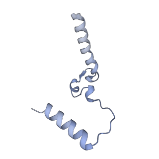 29073_8fgw_F_v1-1
Human IFT-A complex structures provide molecular insights into ciliary transport