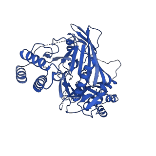 31582_7fgi_A_v1-1
Cryo-EM Structure of Chikungunya Virus Nonstructural Protein 1 with m7Gppp-AU