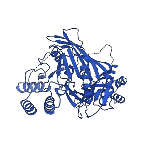 31582_7fgi_B_v1-1
Cryo-EM Structure of Chikungunya Virus Nonstructural Protein 1 with m7Gppp-AU