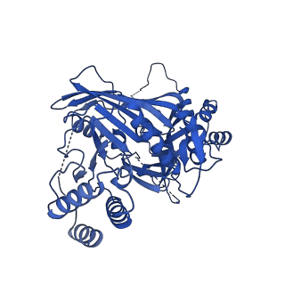 31582_7fgi_C_v1-1
Cryo-EM Structure of Chikungunya Virus Nonstructural Protein 1 with m7Gppp-AU