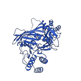 31582_7fgi_D_v1-1
Cryo-EM Structure of Chikungunya Virus Nonstructural Protein 1 with m7Gppp-AU