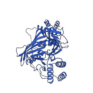 31582_7fgi_E_v1-1
Cryo-EM Structure of Chikungunya Virus Nonstructural Protein 1 with m7Gppp-AU