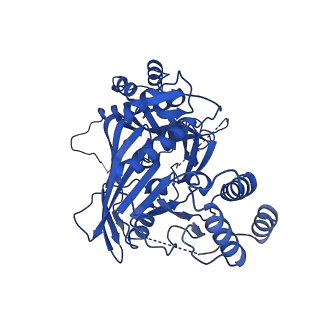 31582_7fgi_F_v1-1
Cryo-EM Structure of Chikungunya Virus Nonstructural Protein 1 with m7Gppp-AU