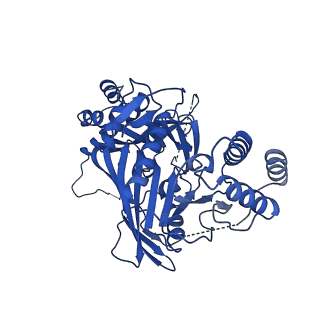31582_7fgi_G_v1-1
Cryo-EM Structure of Chikungunya Virus Nonstructural Protein 1 with m7Gppp-AU
