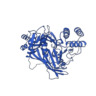 31582_7fgi_H_v1-1
Cryo-EM Structure of Chikungunya Virus Nonstructural Protein 1 with m7Gppp-AU