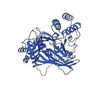 31582_7fgi_I_v1-1
Cryo-EM Structure of Chikungunya Virus Nonstructural Protein 1 with m7Gppp-AU