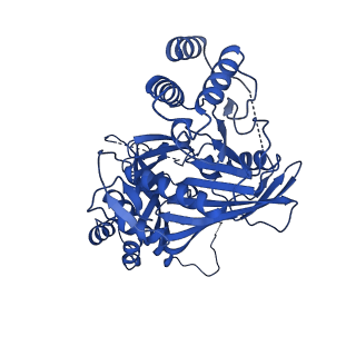 31582_7fgi_J_v1-1
Cryo-EM Structure of Chikungunya Virus Nonstructural Protein 1 with m7Gppp-AU
