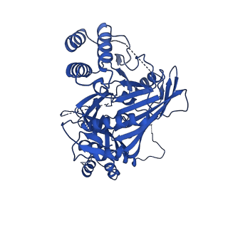 31582_7fgi_K_v1-1
Cryo-EM Structure of Chikungunya Virus Nonstructural Protein 1 with m7Gppp-AU