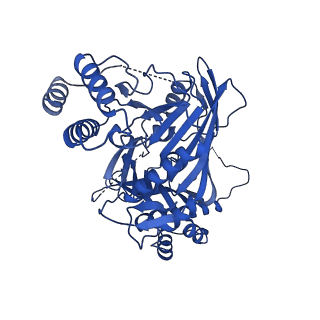 31582_7fgi_L_v1-1
Cryo-EM Structure of Chikungunya Virus Nonstructural Protein 1 with m7Gppp-AU