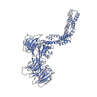 29078_8fh3_A_v1-1
Human IFT-A complex structures provide molecular insights into ciliary transport