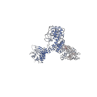29078_8fh3_C_v1-1
Human IFT-A complex structures provide molecular insights into ciliary transport