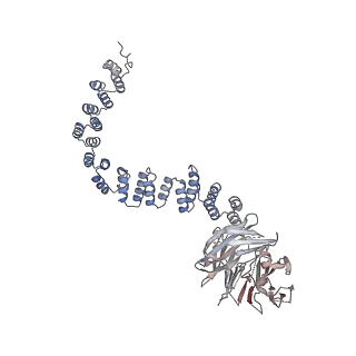 29078_8fh3_E_v1-1
Human IFT-A complex structures provide molecular insights into ciliary transport