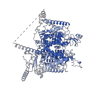 29082_8fhd_A_v1-0
Cryo-EM structure of human voltage-gated sodium channel Nav1.6