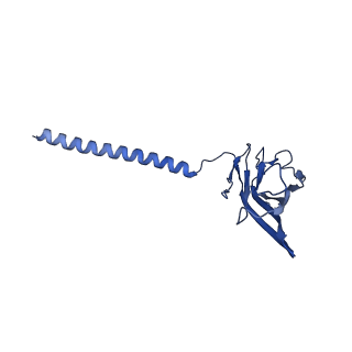 29082_8fhd_C_v1-0
Cryo-EM structure of human voltage-gated sodium channel Nav1.6