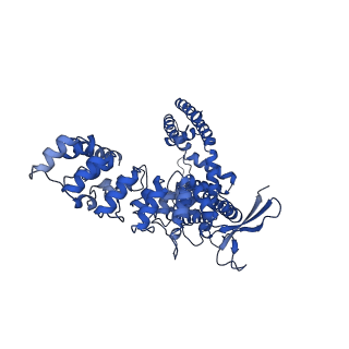 29085_8fhh_D_v1-0
Wildtype rabbit TRPV5 in nanodiscs in the presence of oleoyl coenzyme A, Closed stated
