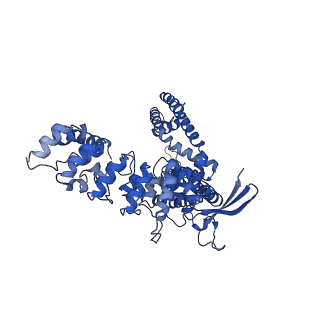 29086_8fhi_A_v1-0
Wildtype rabbit TRPV5 in nanodiscs in complex with oleoyl coenzyme A, Open stated