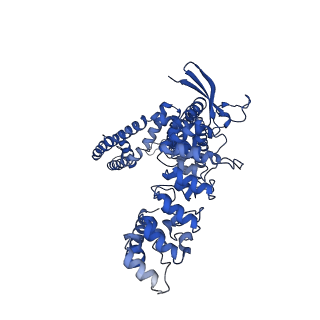 29086_8fhi_B_v1-0
Wildtype rabbit TRPV5 in nanodiscs in complex with oleoyl coenzyme A, Open stated