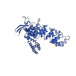 29086_8fhi_C_v1-0
Wildtype rabbit TRPV5 in nanodiscs in complex with oleoyl coenzyme A, Open stated