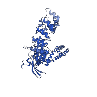 29086_8fhi_D_v1-0
Wildtype rabbit TRPV5 in nanodiscs in complex with oleoyl coenzyme A, Open stated