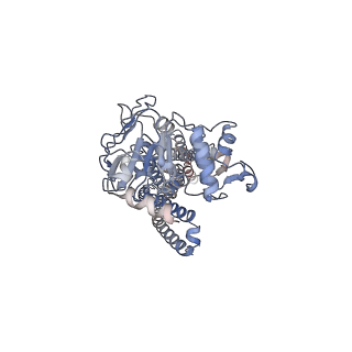 29087_8fhk_C_v1-1
Heterodimeric ABC transporter BmrCD in the occluded conformation bound to ATP: BmrCD_OC-ATP