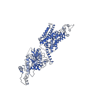 29096_8fhn_A_v1-2
Cryo-EM structure of human NCC (class 2)