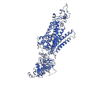 29096_8fhn_B_v1-2
Cryo-EM structure of human NCC (class 2)