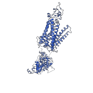 29097_8fho_B_v1-2
Cryo-EM structure of human NCC (class 1)