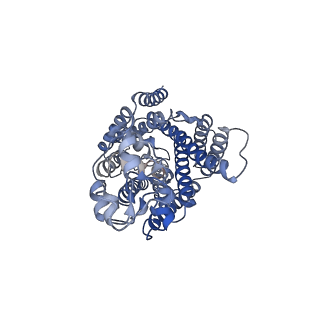 29098_8fhp_B_v1-2
Cryo-EM structure of human NCC (class 3-1)