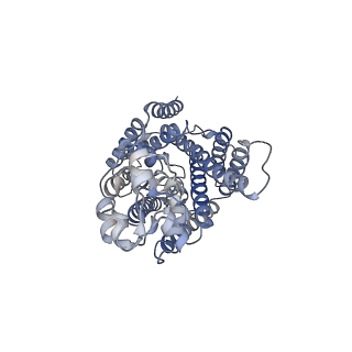 29099_8fhq_B_v1-2
Cryo-EM structure of human NCC (class 3-2)