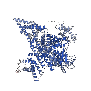29102_8fhs_A_v1-0
Human L-type voltage-gated calcium channel Cav1.2 in the presence of amiodarone and sofosbuvir at 3.3 Angstrom resolution