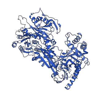 29102_8fhs_D_v1-0
Human L-type voltage-gated calcium channel Cav1.2 in the presence of amiodarone and sofosbuvir at 3.3 Angstrom resolution