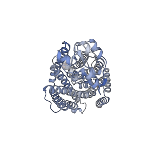 29103_8fht_A_v1-2
Cryo-EM structure of human NCC