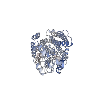 29103_8fht_B_v1-2
Cryo-EM structure of human NCC