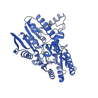 29172_8fhw_A_v1-1
Cryo-EM structure of Cryptococcus neoformans trehalose-6-phosphate synthase homotetramer in complex with uridine diphosphate and glucose-6-phosphate