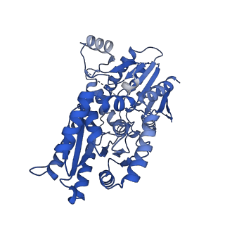 29172_8fhw_B_v1-1
Cryo-EM structure of Cryptococcus neoformans trehalose-6-phosphate synthase homotetramer in complex with uridine diphosphate and glucose-6-phosphate