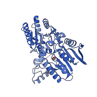 29172_8fhw_C_v1-1
Cryo-EM structure of Cryptococcus neoformans trehalose-6-phosphate synthase homotetramer in complex with uridine diphosphate and glucose-6-phosphate