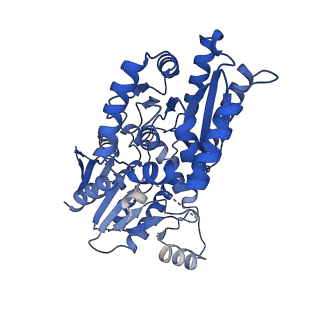 29172_8fhw_D_v1-1
Cryo-EM structure of Cryptococcus neoformans trehalose-6-phosphate synthase homotetramer in complex with uridine diphosphate and glucose-6-phosphate