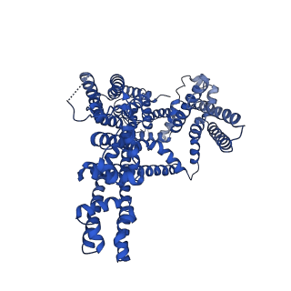 31585_7fhk_A_v1-1
Structure of AtTPC1 with 1 mM Ca2+