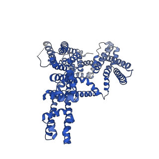 31586_7fhl_A_v1-1
Structure of AtTPC1 with 50 mM Ca2+