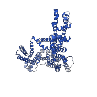 31586_7fhl_C_v1-1
Structure of AtTPC1 with 50 mM Ca2+