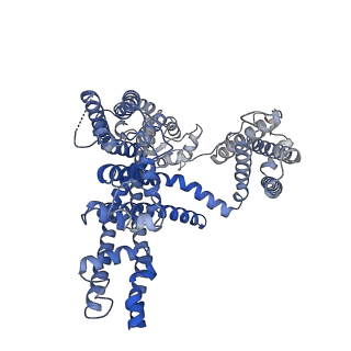 31587_7fhn_A_v1-1
Structure of AtTPC1 D240A/D454A/E528A mutant with 1 mM Ca2+