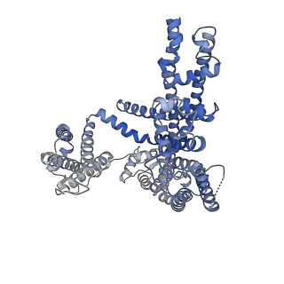 31587_7fhn_C_v1-1
Structure of AtTPC1 D240A/D454A/E528A mutant with 1 mM Ca2+
