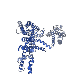 31588_7fho_A_v1-1
Structure of AtTPC1 D240A/D454A/E528A mutant with 50 mM Ca2+