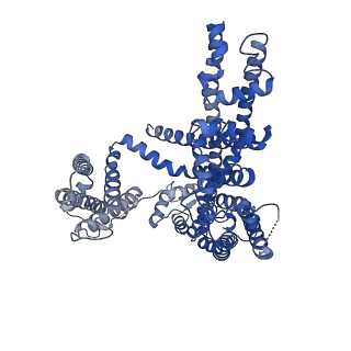 31588_7fho_C_v1-1
Structure of AtTPC1 D240A/D454A/E528A mutant with 50 mM Ca2+
